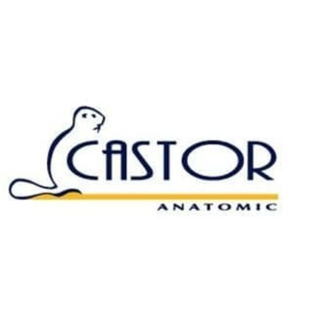 Castor 1