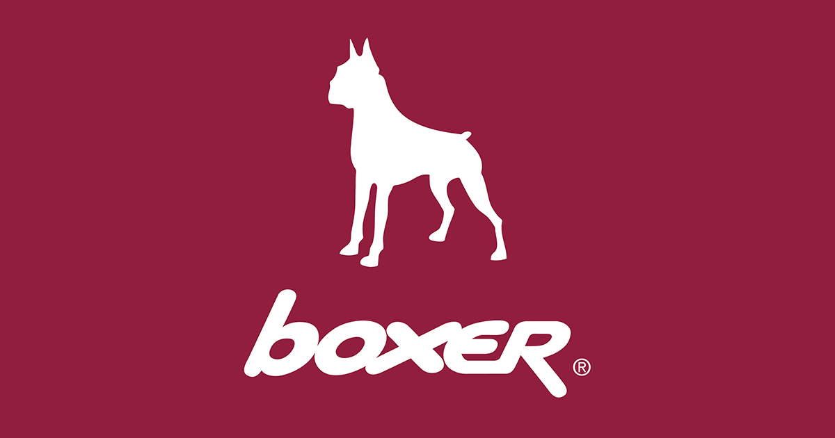 boxer shoes leather